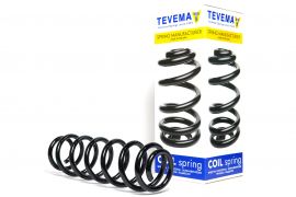 Задня пружина Volkswagen Golf 4 1997-2006 Tevema (615043G)