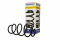 Пружина передняя Seat Toledo 2012-2019 Tevema (405728-T)