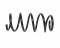 Передняя пружина Volkswagen CRAFTER Furgon 2.0 (415149) TEVEMA