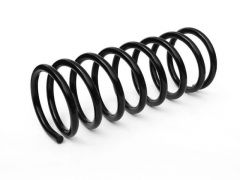 Пружина передня Volkswagen Passat B6 2006-2013, Passat B7 2010-2015 SMAP (SMAP247) Пружина передня Volkswagen Passat B6 2006-2013, Passat B7 2010-2015 SMAP (SMAP247)